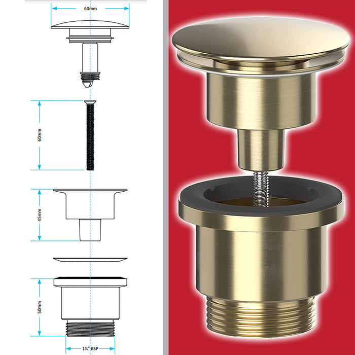 Clicker Basin Waste Plug 1 1/4" 60mm Click Clack Bathroom Sink Pop Up Push Dome (Brushed Brass)
