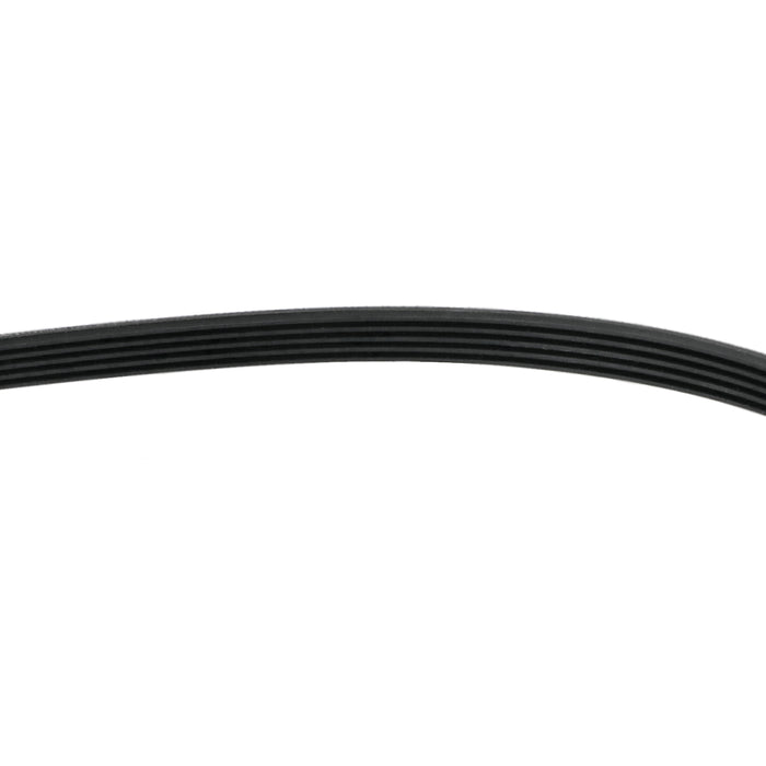 Proline Washing Machine Drive Belt 1281J5PJE FP812 FP8120WE FP812E FP812E1 12638100000250