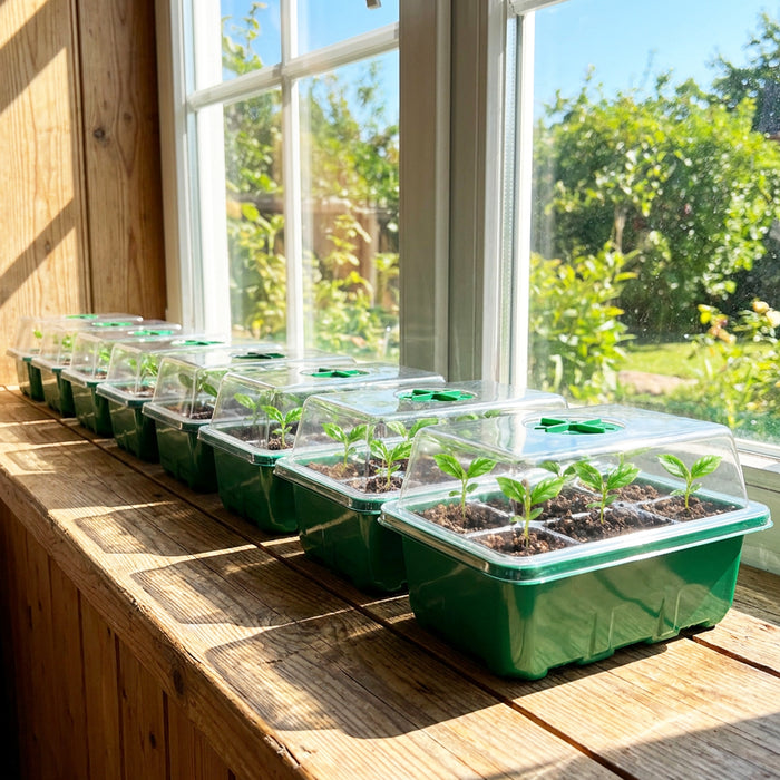 Seed Starting Propagator Tray Garden Plant Seedling Germination Starter Grow Kit (Pack of 10, 120 Cells)