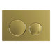 Luxury Flush Plate Kit for Concealed Toilet Cistern Wall Hung Frame (Brushed Brass, 245mm x 165mm)