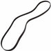 1245J5 Poly V Drum Drive Belt for FAGOR Washing Machine