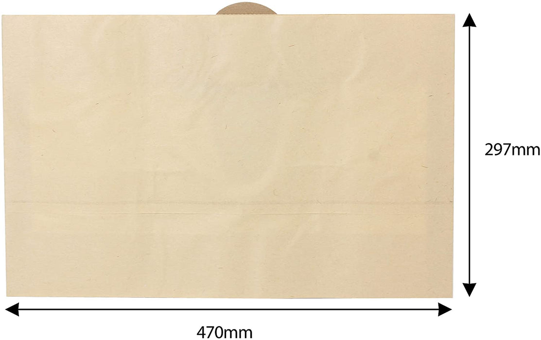 20L Dust Bags for PROACTION READYVAC RYOBI Vacuum Cleaner (Pack of 10)