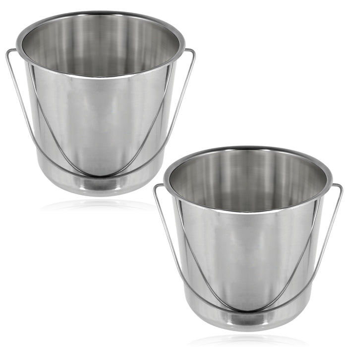 12 Litre Stainless Steel Handled Pail Bucket (Silver, Set of 2 Buckets)