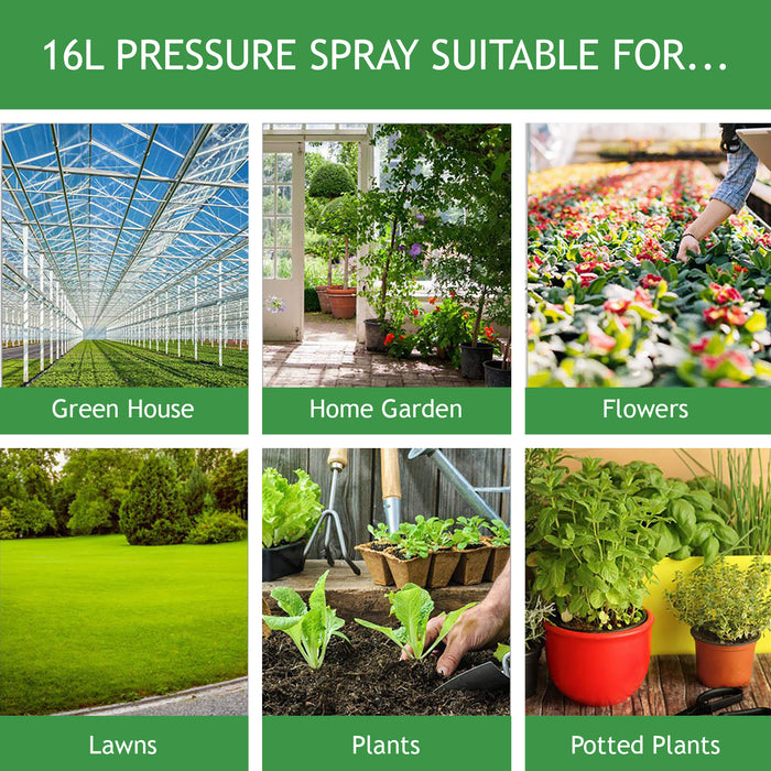 Knapsack Sprayer Garden Weed Backpack Pressure Spray Lance 16L